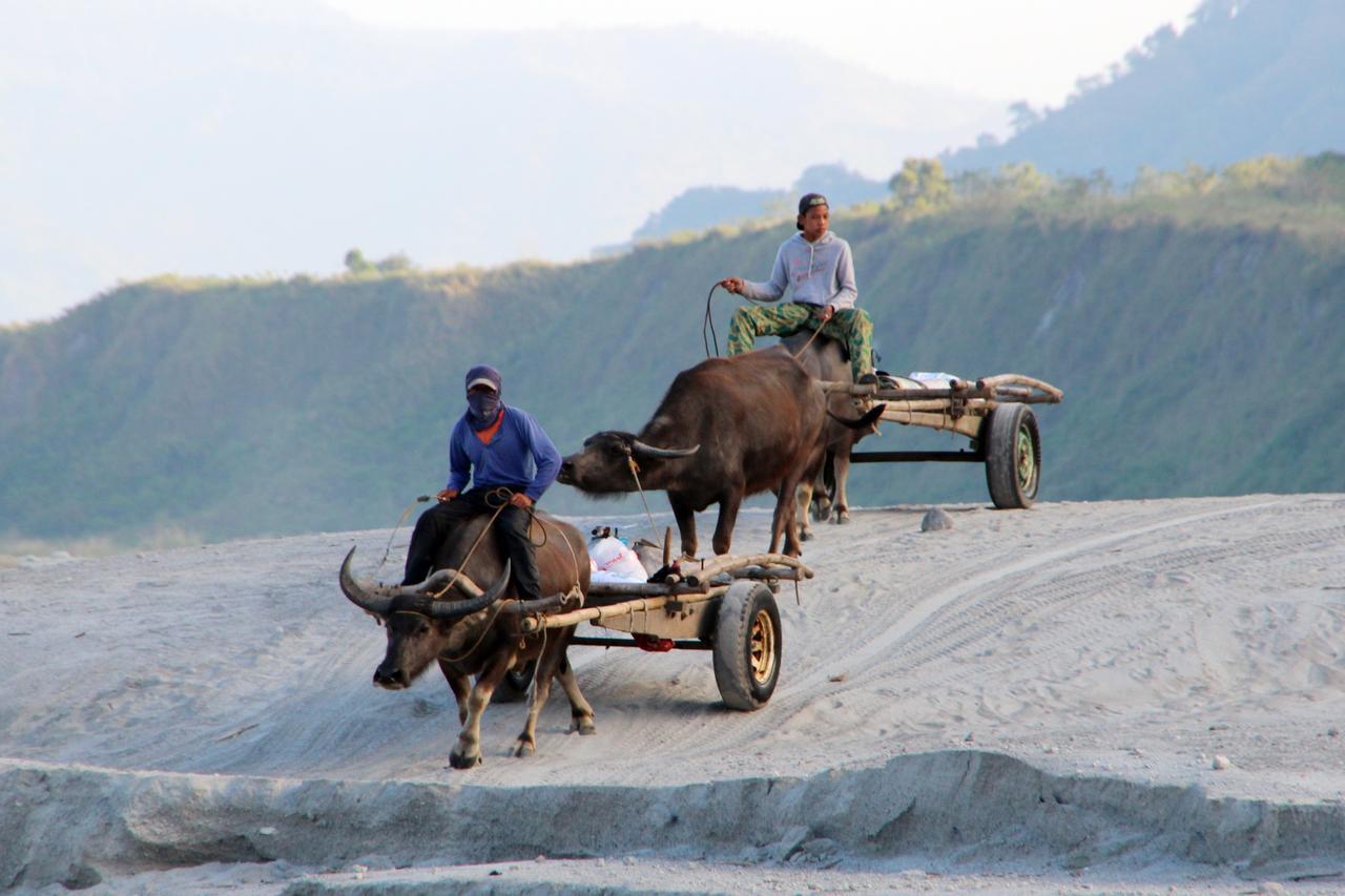 Bognot Lodge : Alvin Bognot Mt Pinatubo Guesthouse And Tours Santa Juliana 외부 사진